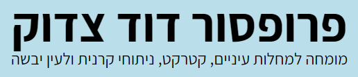 פרופ' דוד צדוק